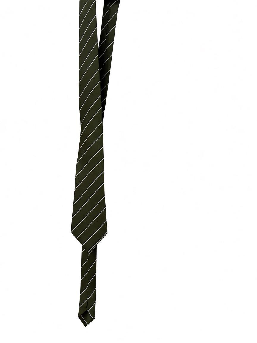 Cravatta Accessorize